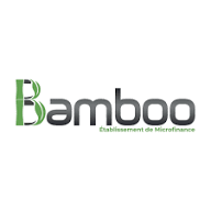 Bamboo